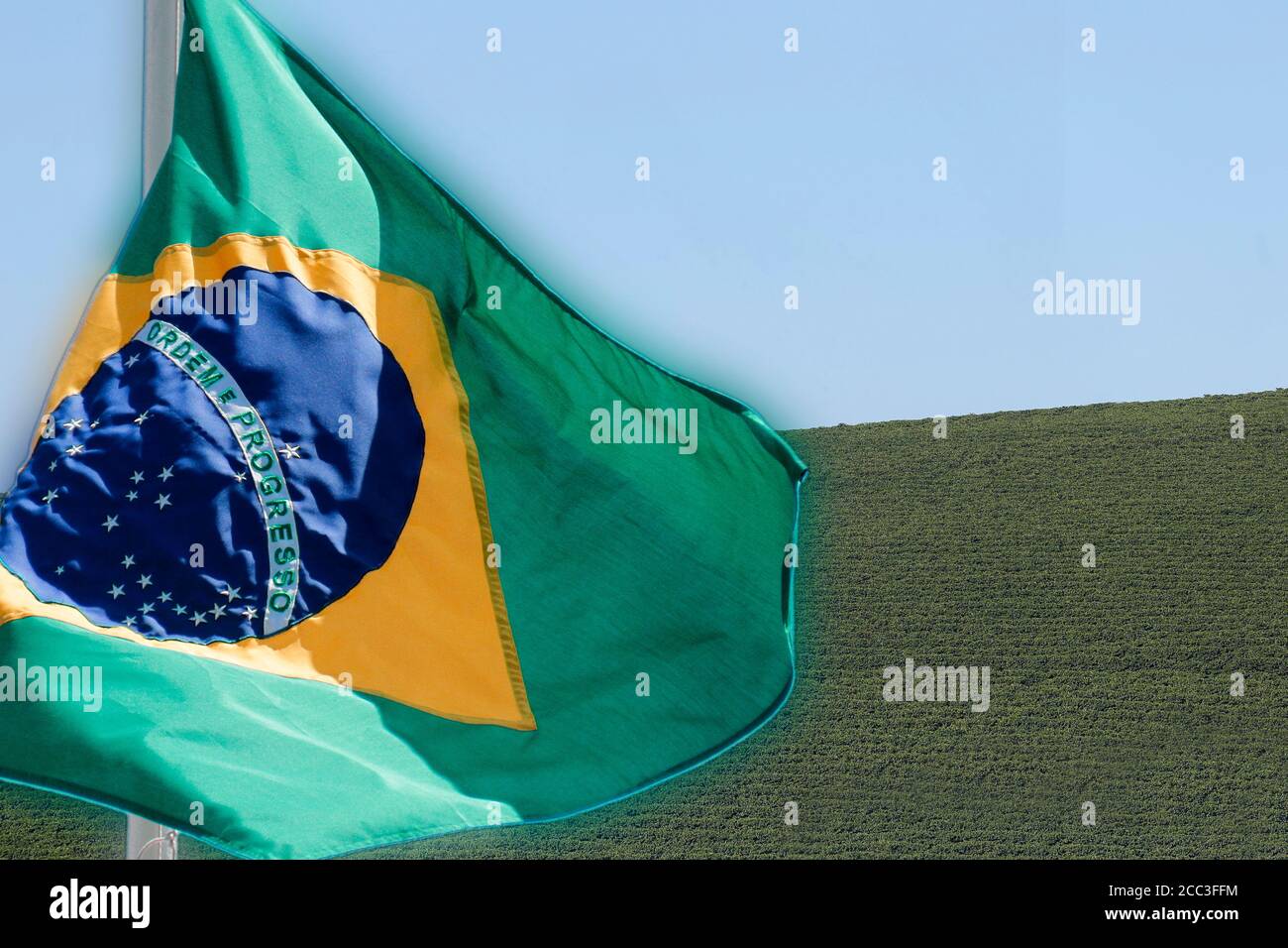 Ferme avec vue sur la plantation de café - Café à la ferme Brésil - Cafe do Brasil Banque D'Images