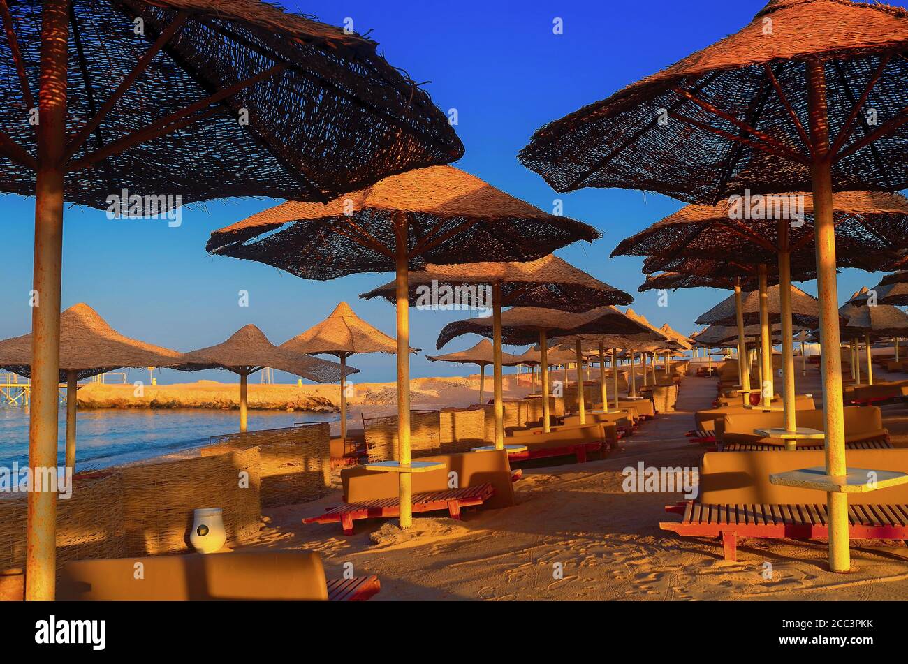 parasols sur la plage en egypte Banque D'Images
