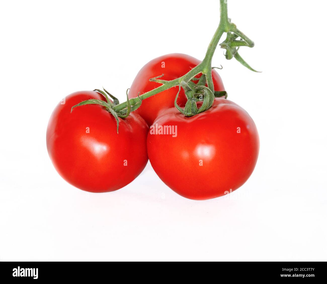 Grosses tomates avec des feuilles sur fond blanc Banque D'Images