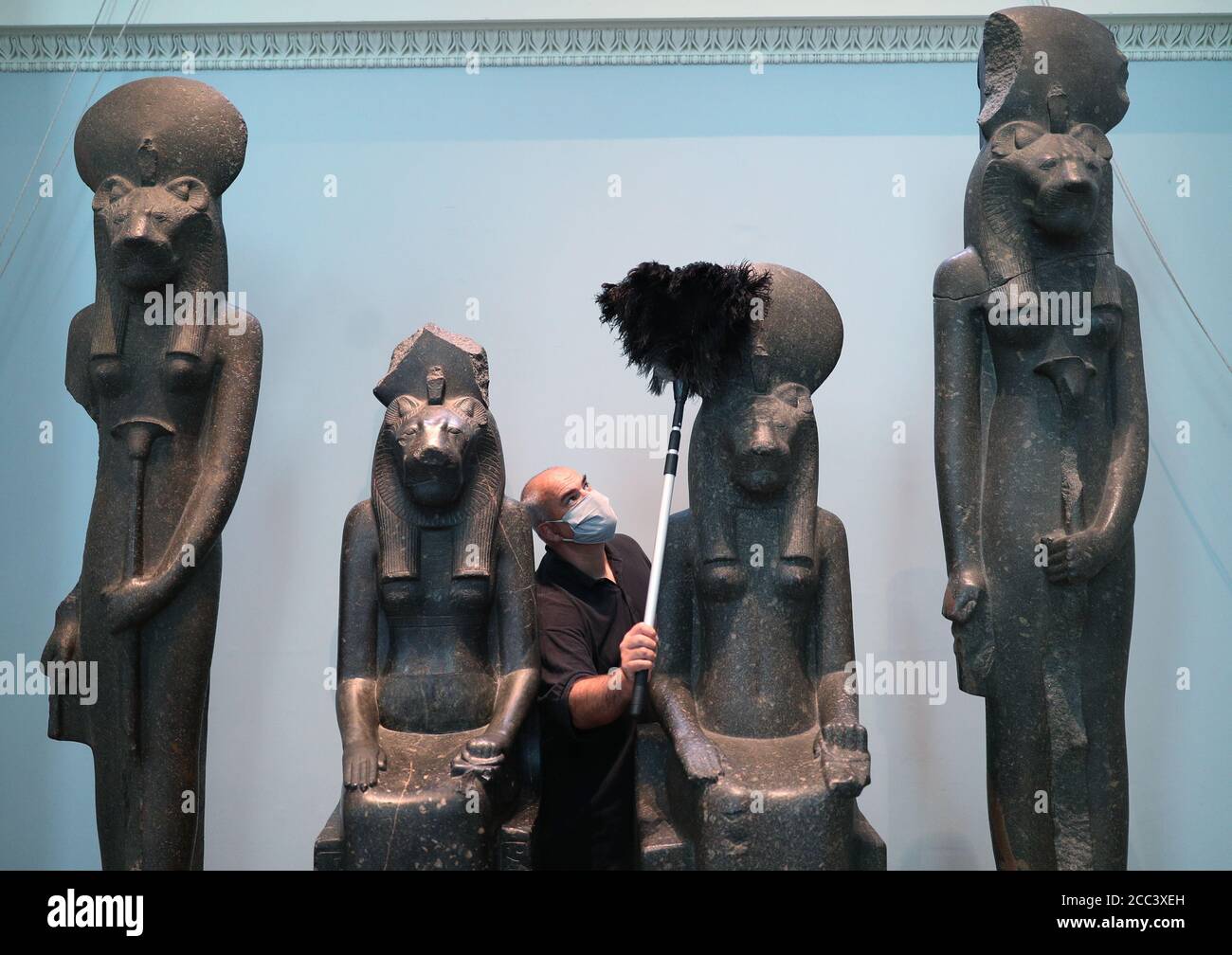Evan York, responsable de la collection, dépoussiérant quelques-unes des centaines de statues de la déesse Sekhmet qui ont été commandées par le roi Amenhotep III (environ 1390-1352 av. J.-C.), dans la galerie de sculptures égyptiennes du British Museum, Londres, alors qu'ils se préparent à rouvrir au public le 27 août après le confinement du coronavirus. En prévision de sa réouverture, le British Museum s'est lancé dans le plus grand programme de nettoyage depuis des décennies. Banque D'Images