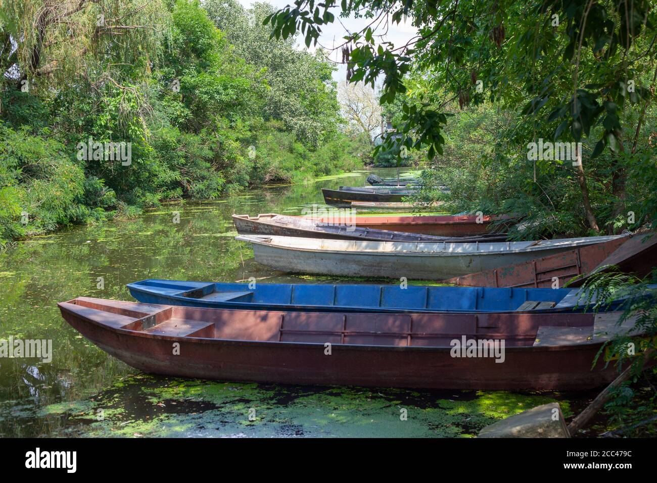 Vieux bateaux de pêche en bois sur un étang. Petits bateaux de pêche traditionnels sur la rive de la rivière en Serbie. Banque D'Images