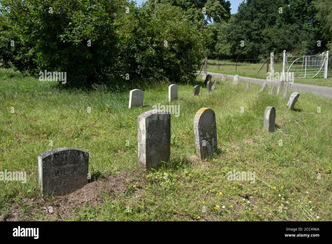 Cimetière d'animaux de compagnie sur le domaine de Langleys à Great Waltham, Essex, Angleterre Banque D'Images