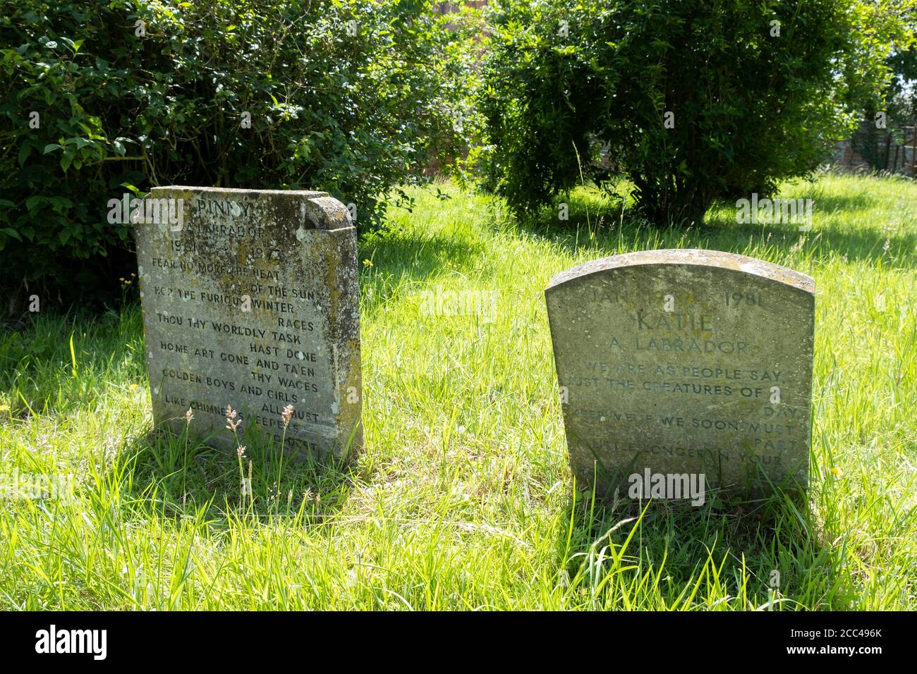 Cimetière d'animaux de compagnie sur le domaine de Langleys à Great Waltham, Essex, Angleterre Banque D'Images