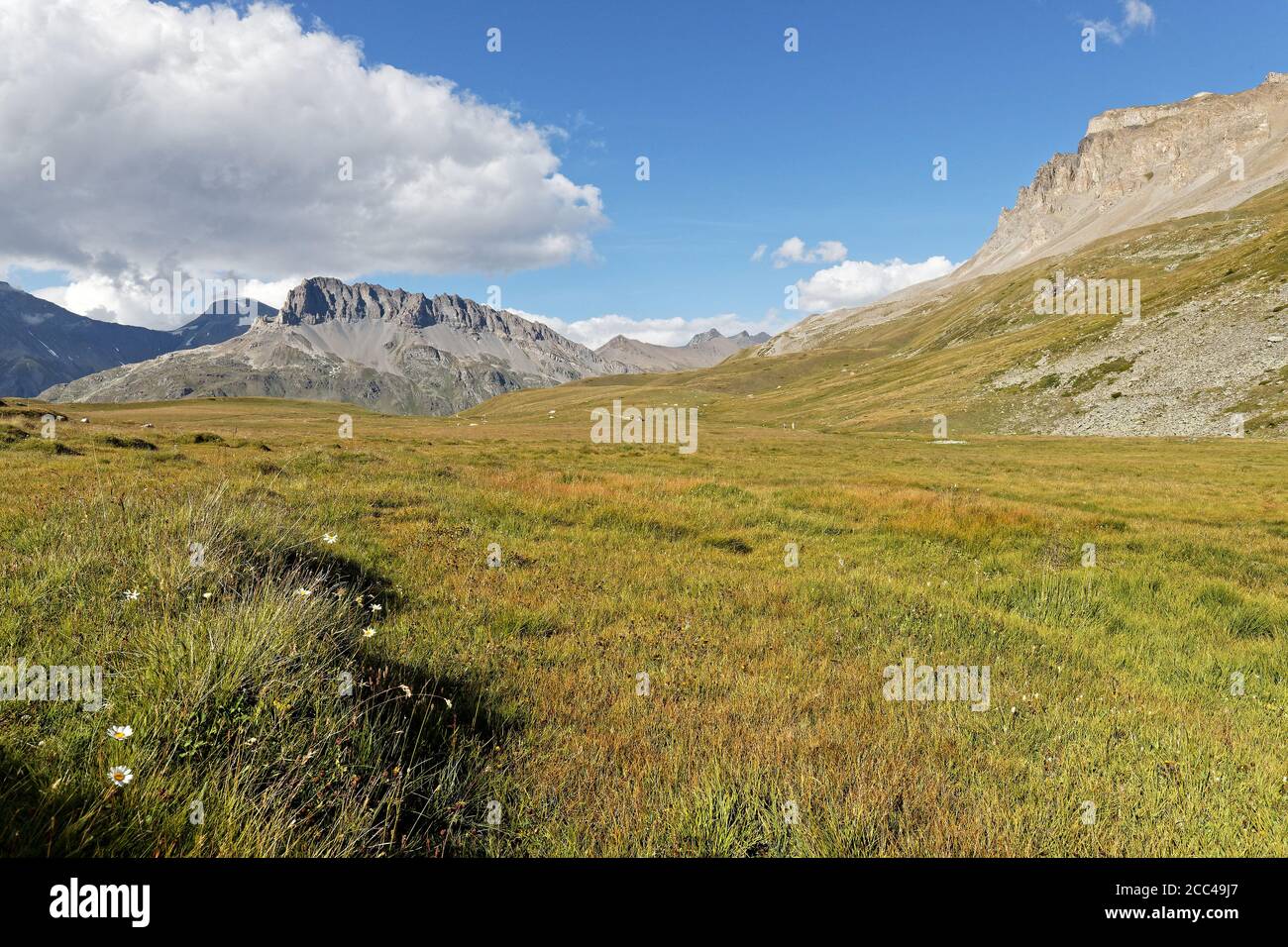 Montagnes et prairies du parc national de la Vanoise Banque D'Images