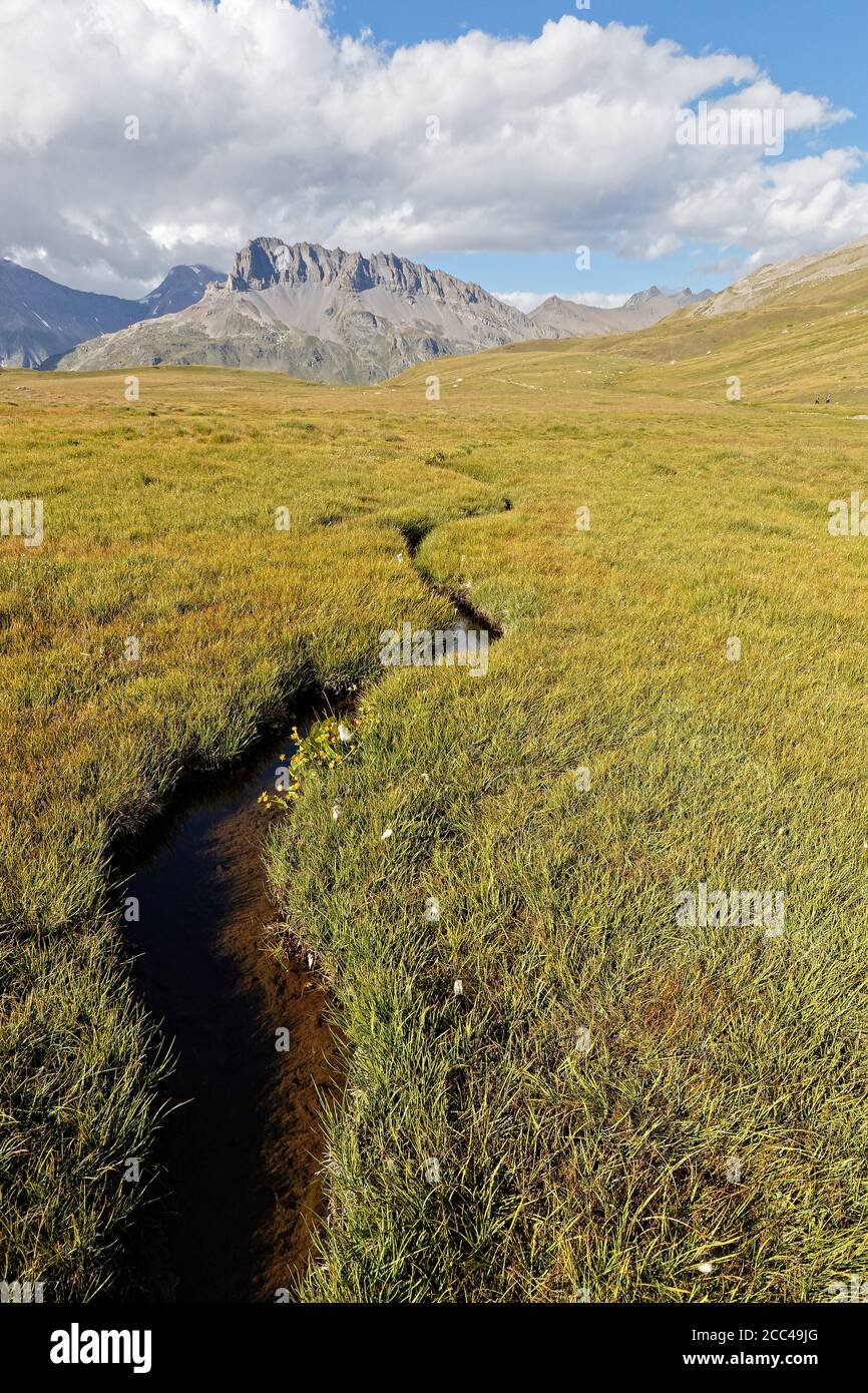 Une petite rivière s'étend jusqu'aux prairies de la montagne Banque D'Images