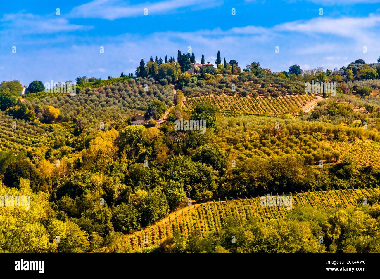 Vue panoramique imprenable sur une ferme sur une colline avec vignobles et vergers d'oliviers dans la campagne de San Gimignano avec un ciel bleu. Une belle... Banque D'Images