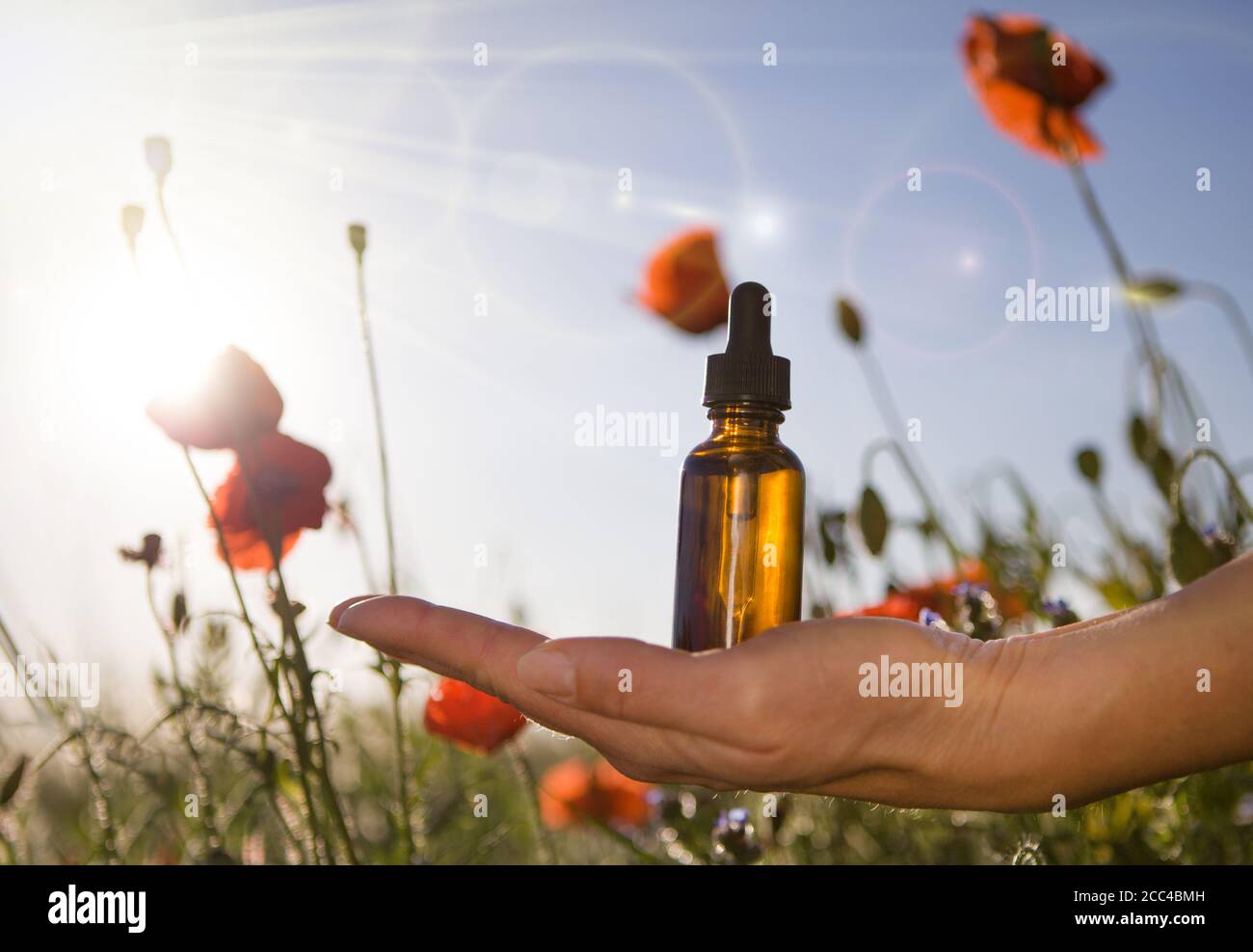 Flacons de cosmétiques biologiques, huile essentielle Focus sélectif. Banque D'Images