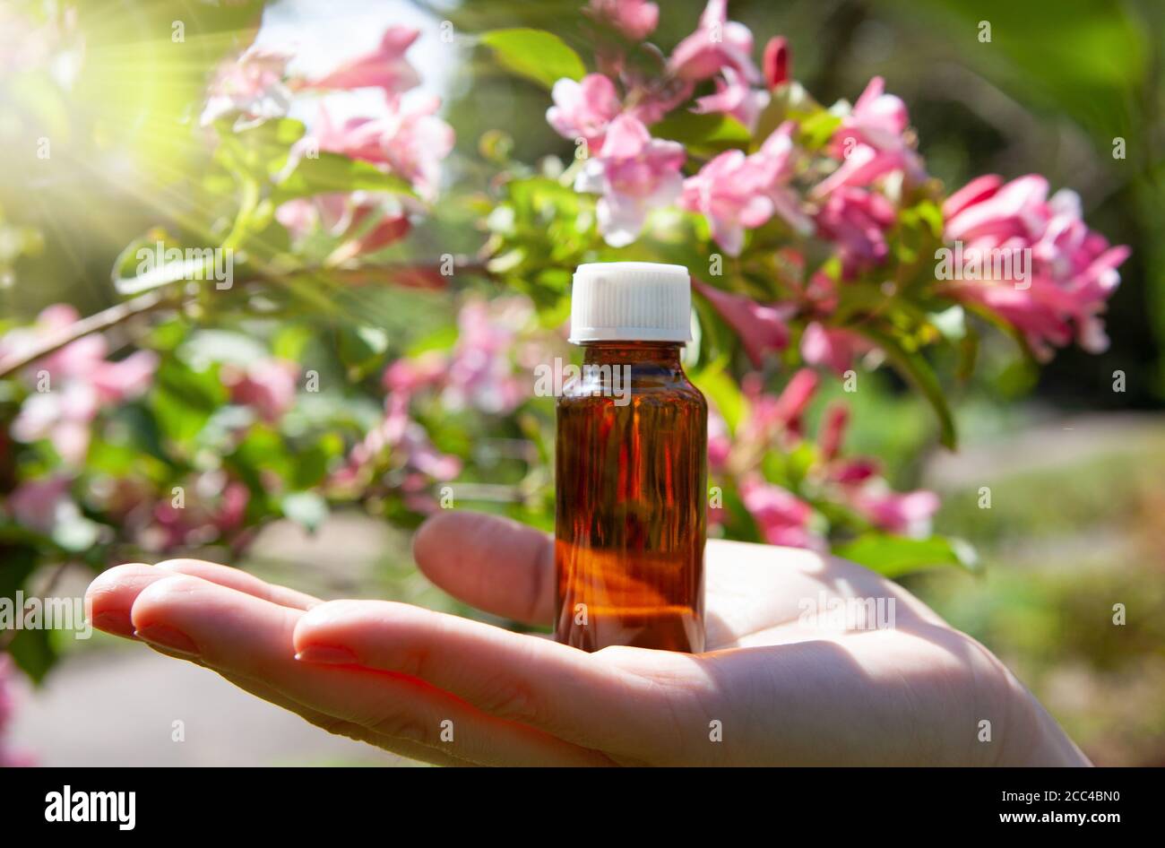 Le concept des essences organiques, de la beauté naturelle et des produits de santé. Banque D'Images
