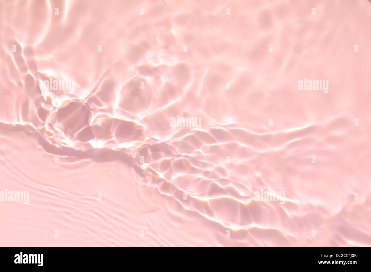 rose transparent eau transparente texture de surface été fond Banque D'Images