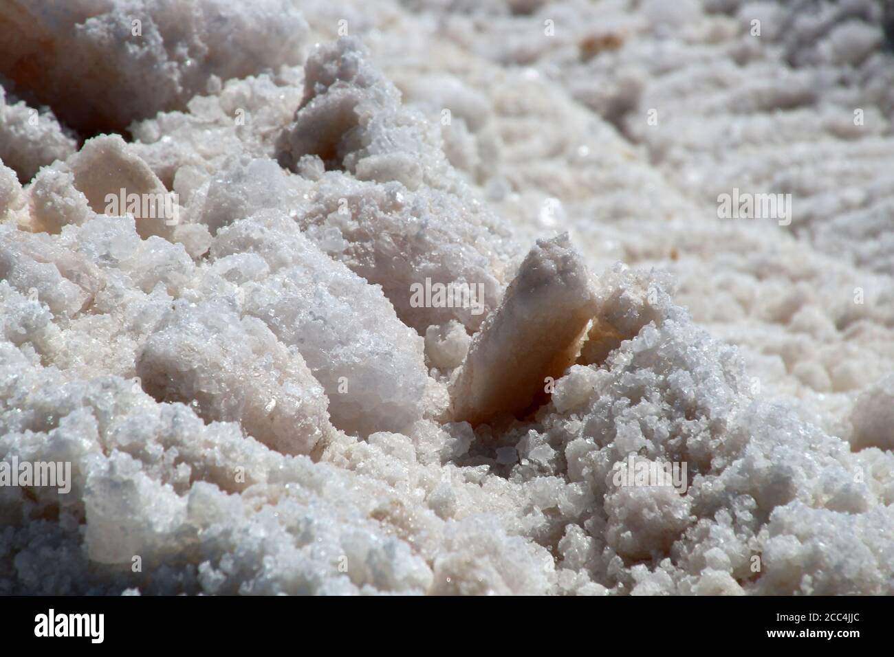 Extraction de sel de mer dans les appartements salins de la lagune à Ojo de Liebre, Basse-Californie sur, Mexique Banque D'Images