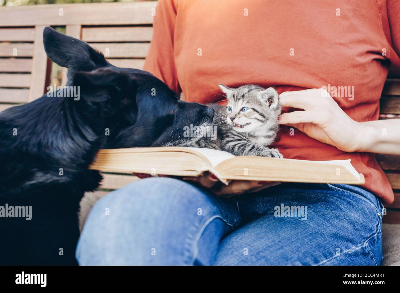 site rencontre animaux de compagnie