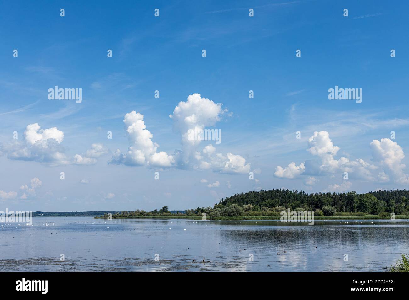 Nuage de cumulus (Cumulus), nuages de gonflement au-dessus d'un lac, Allemagne, Bavière, lac Chiemsee Banque D'Images