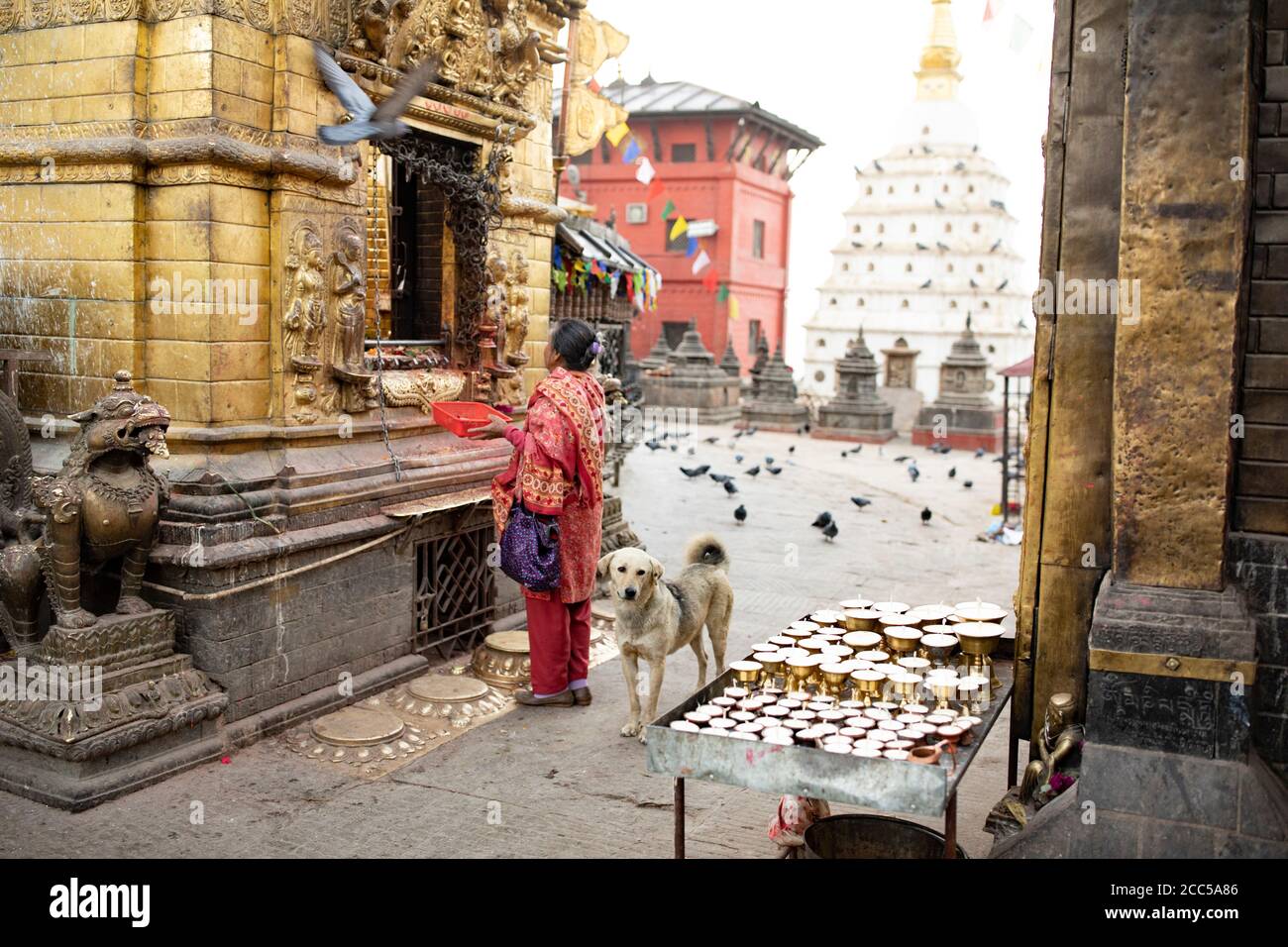 Femme et chien priant à un sanctuaire à Swayambhunath stupa à Katmandou, Népal. Banque D'Images