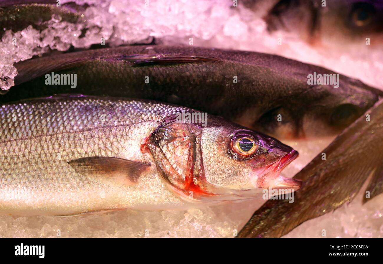 Photo d'une belle macro de délicieux poissons rouges Banque D'Images