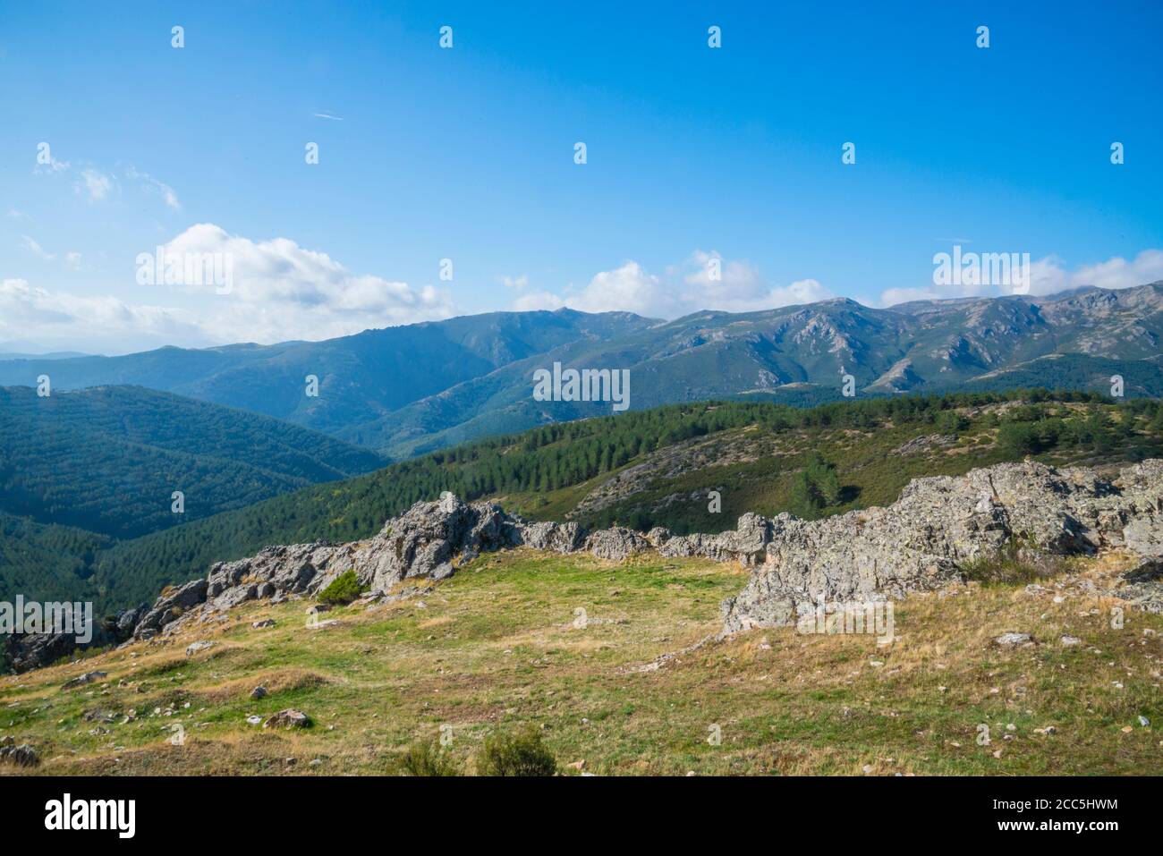 Paysage. La réserve naturelle de la Sierra Norte, province de Guadalajara, Castille La Manche, Espagne. Banque D'Images