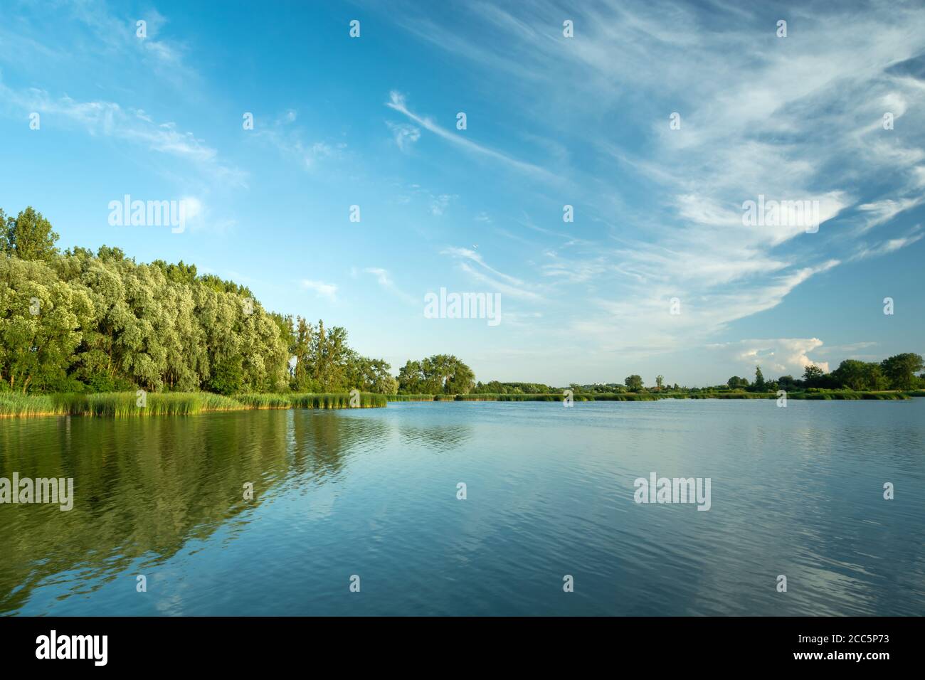 Les nuages de Cirrus dans le ciel bleu au-dessus d'un lac et d'une forêt verte, Stankow, Pologne Banque D'Images