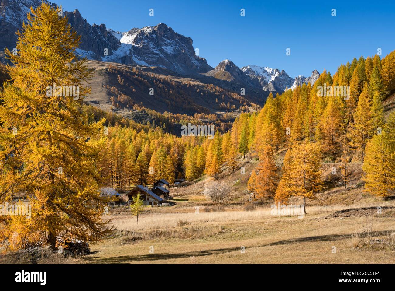 La vallée supérieure de la Claree avec des mélèzes aux couleurs automnales et le massif des Cerces au loin. Nevache, Hautes-Alpes (05), Alpes, France Banque D'Images