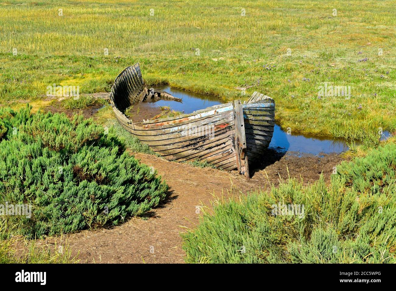 Bateau en bois en décomposition. Banque D'Images