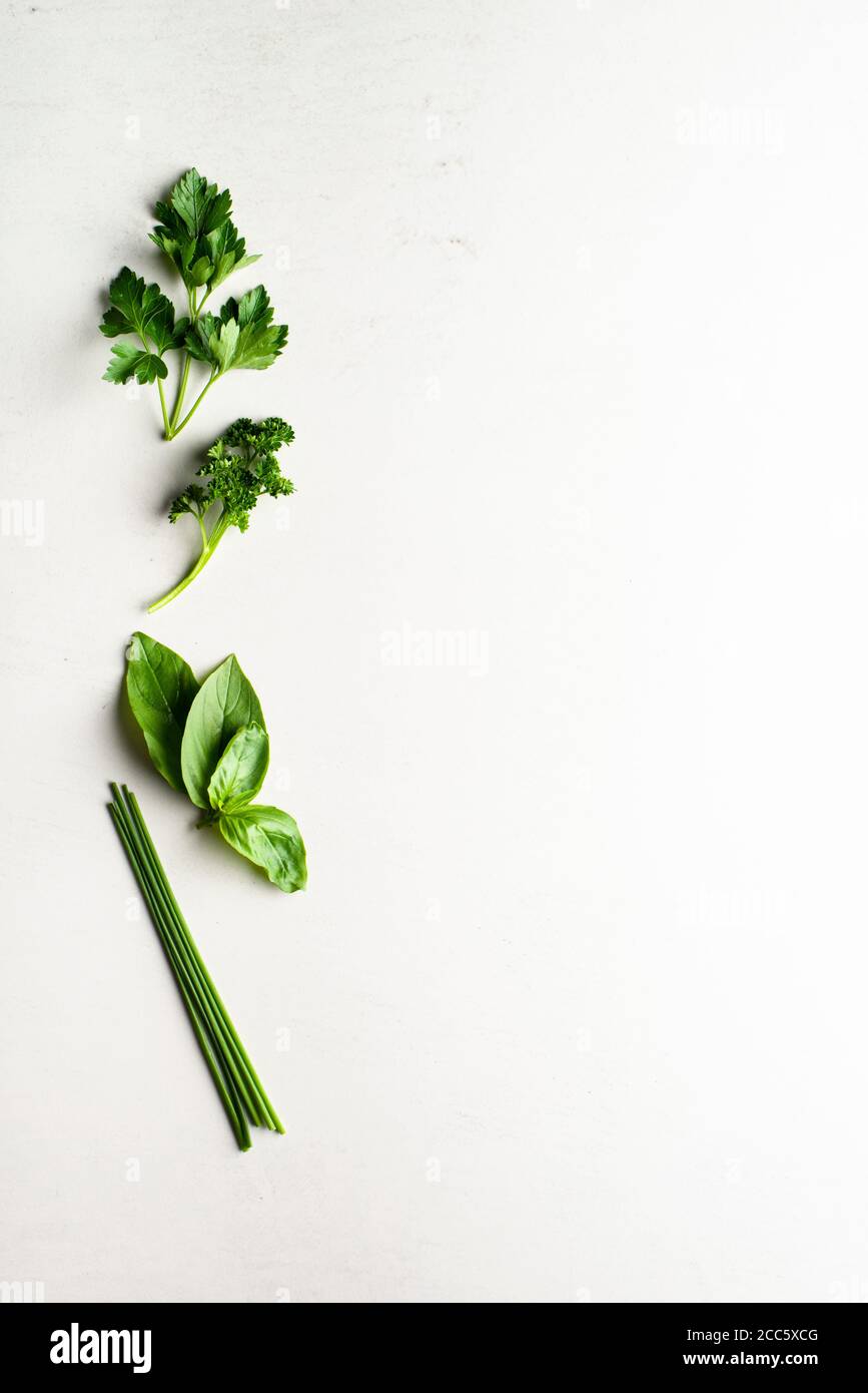 Herbes, feuilles plates et persil plat, basilic et ciboulette Banque D'Images