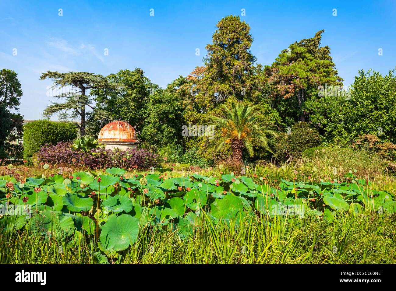 Le jardin des plantes de Montpellier est un jardin botanique public dans la ville de Montpellier, France Banque D'Images