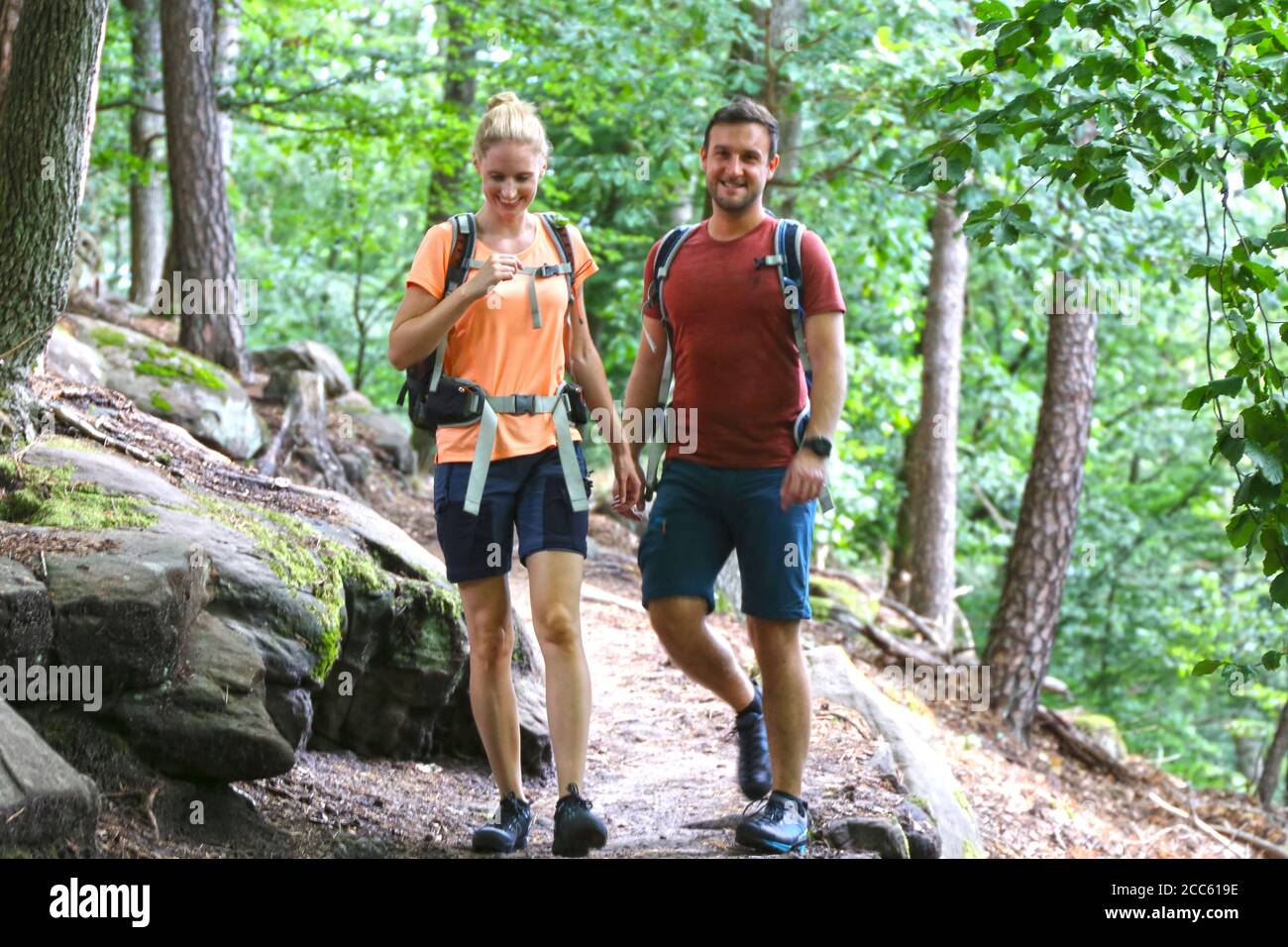 Jeunes couples en randonnée dans la forêt du Palatinat (Pälzerwald), Allemagne Banque D'Images