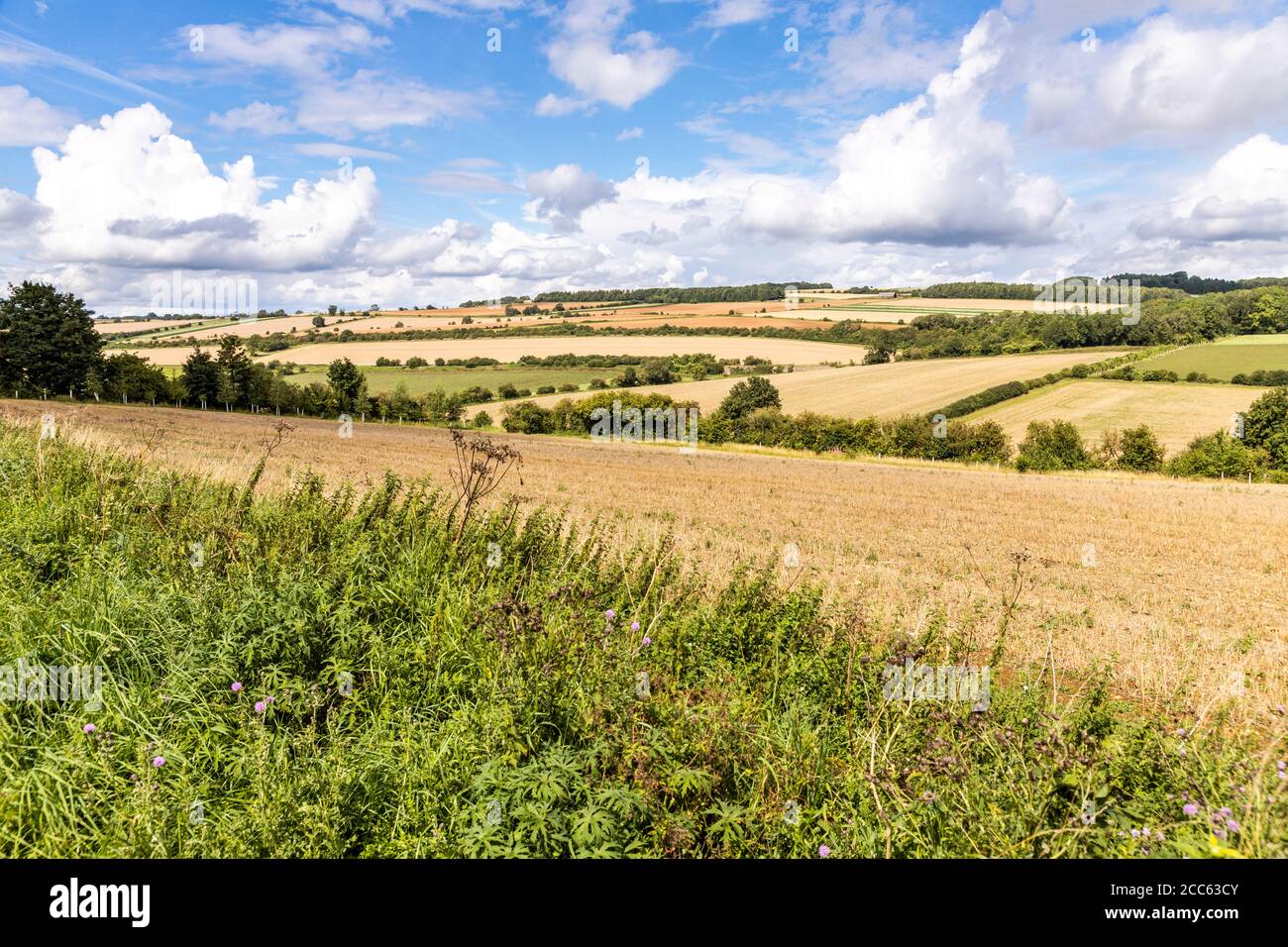 Un paysage ouvert et vallonné de Cotswold de champs récoltés en août près du hameau de Hampen, Gloucestershire Royaume-Uni Banque D'Images