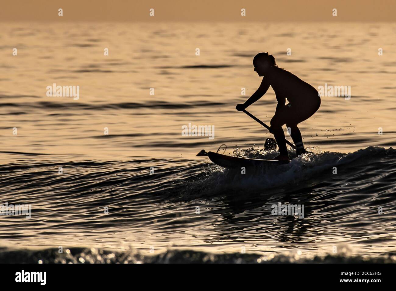 Silhouette de surfeurs dans la mer Méditerranée au coucher du soleil . Photographié sur la plage de Beit Yanai, Israël Banque D'Images