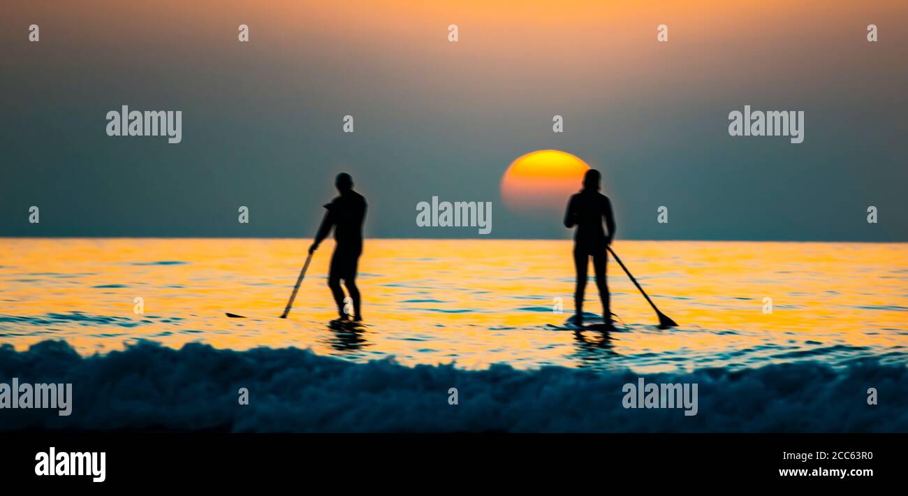 Silhouette de surfeurs dans la mer Méditerranée au coucher du soleil . Photographié sur la plage de Beit Yanai, Israël Banque D'Images