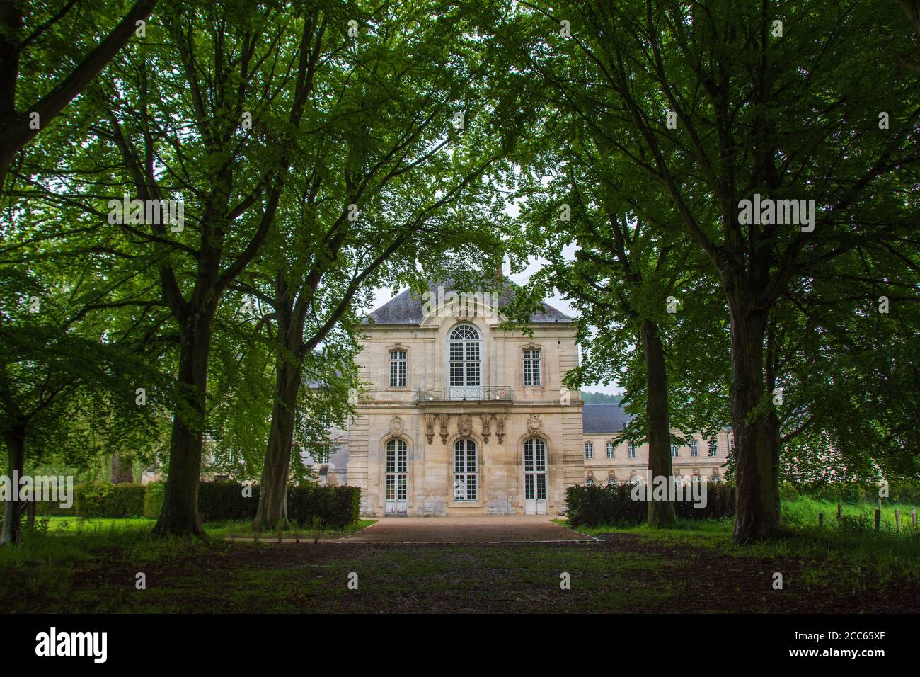 Chemin bordé d'arbres menant à l'abbaye bénédictine de Bec Hellouin, Normandie, France Banque D'Images