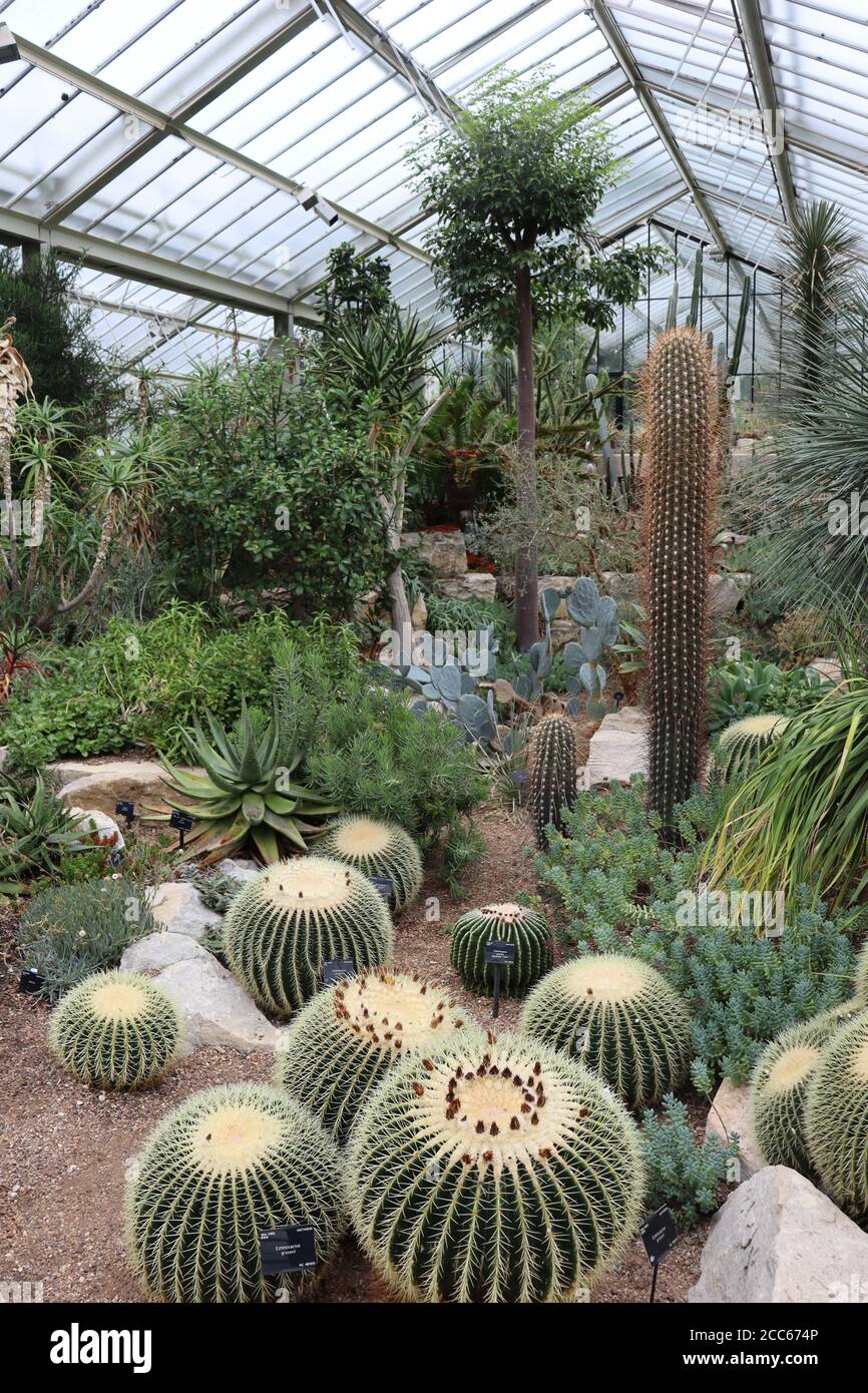 Jardin d'hiver de la princesse Diana, Kew Gradens Banque D'Images