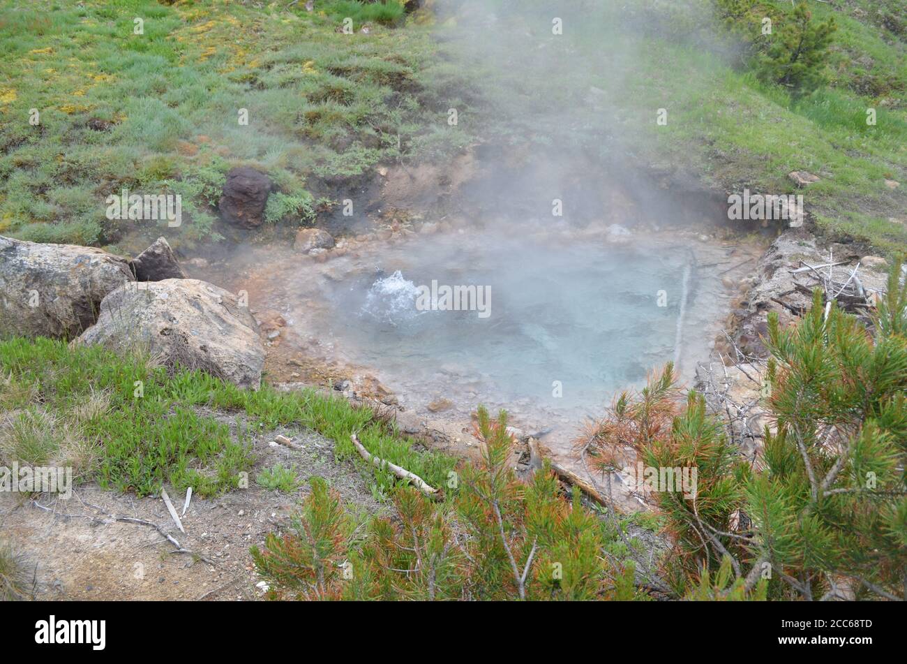 Fin du printemps dans le parc national de Yellowstone: Flash Spring bout au pied de Paintpot Hill dans Artists' Paintpots dans le bassin de Gibbon Geyser Banque D'Images