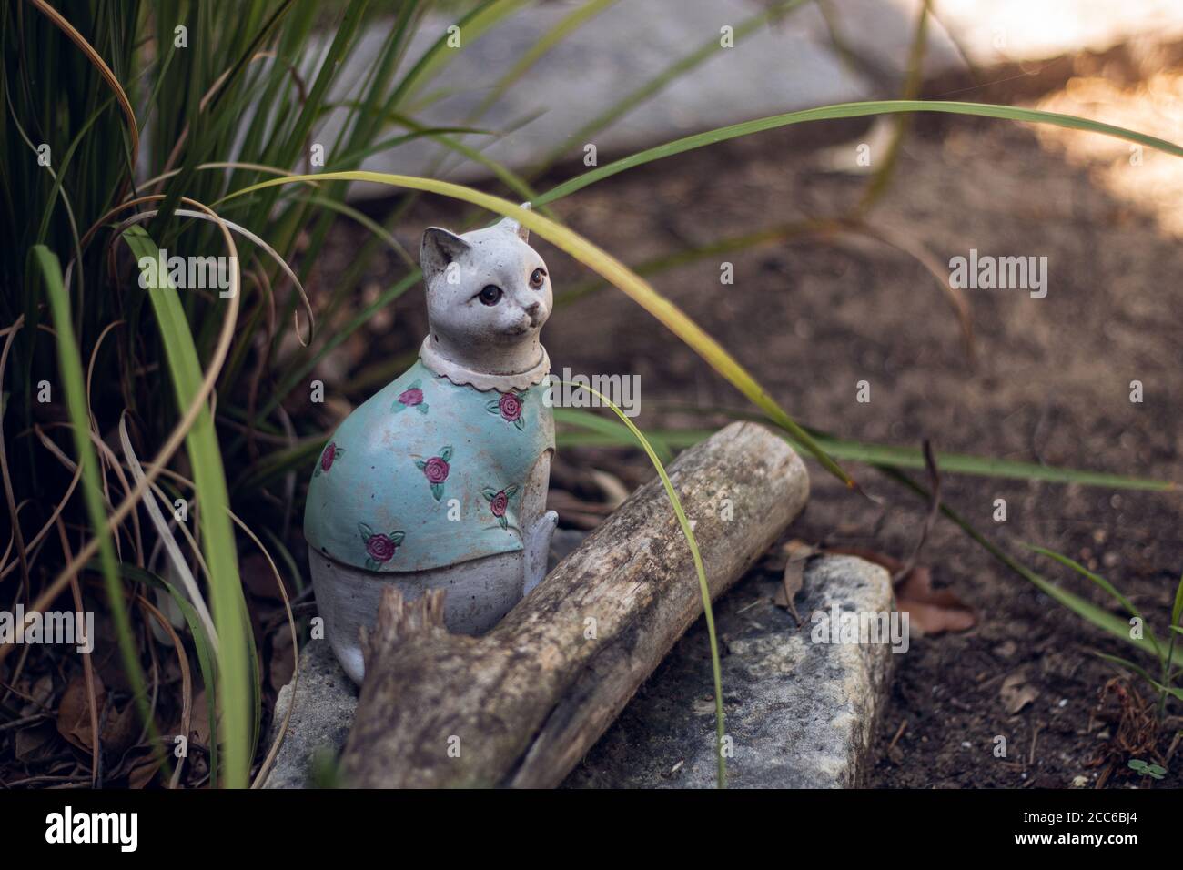 Figurine de jardin de chat en chemise bleue avec roses roses roses en po Lit de fleurs le jour du soleil Banque D'Images