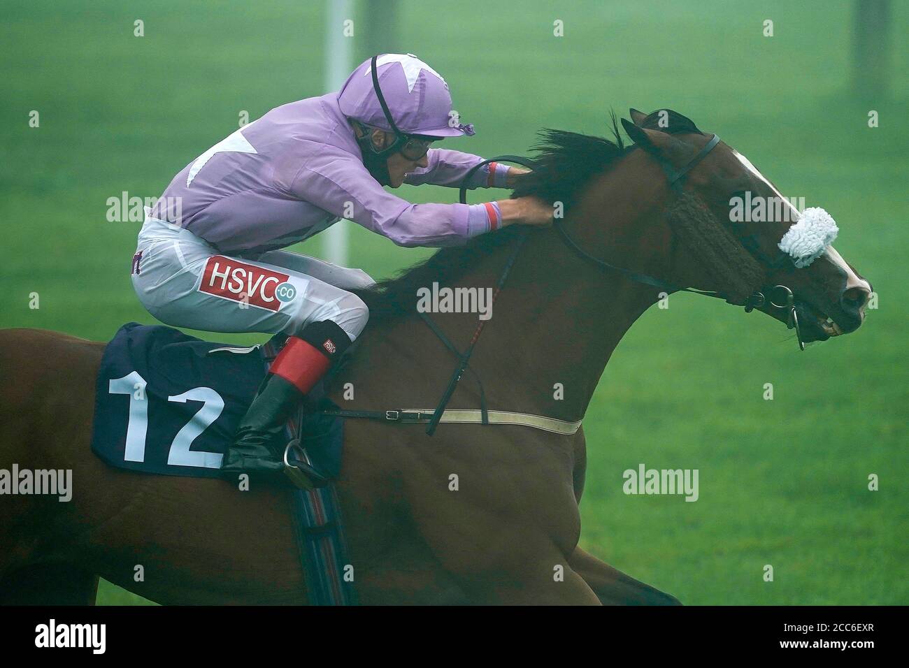 Limerick Lord, monté par Tyler Heard, remporte les Replays libres de Watch sur attheraces.com handicap à l'hippodrome de Bath. Banque D'Images