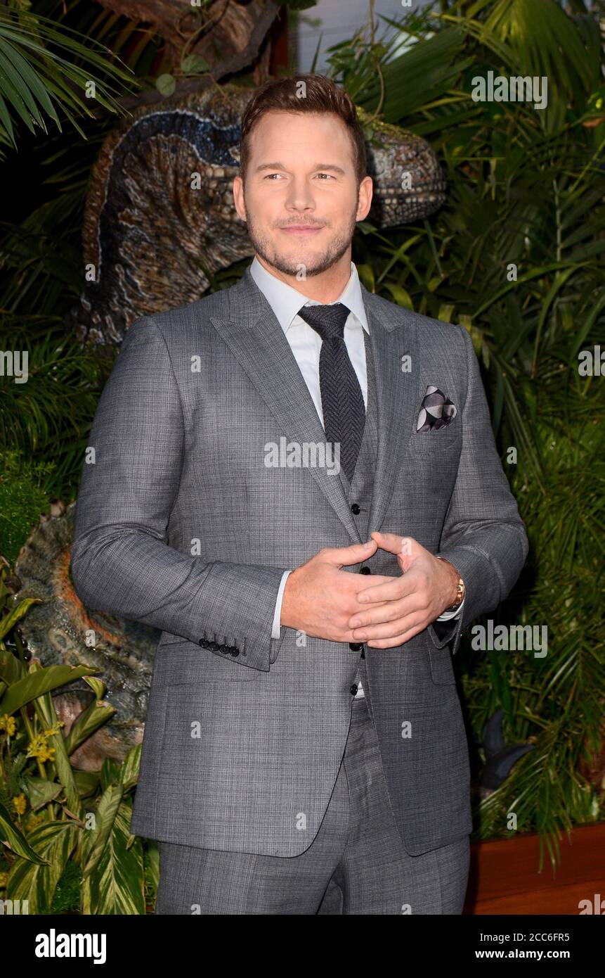 LOS ANGELES - 12 JUIN : Chris Pratt au Jurassic World : première du Royaume déchu au Walt Disney concert Hall le 12 juin 2018 à Los Angeles, Californie Banque D'Images