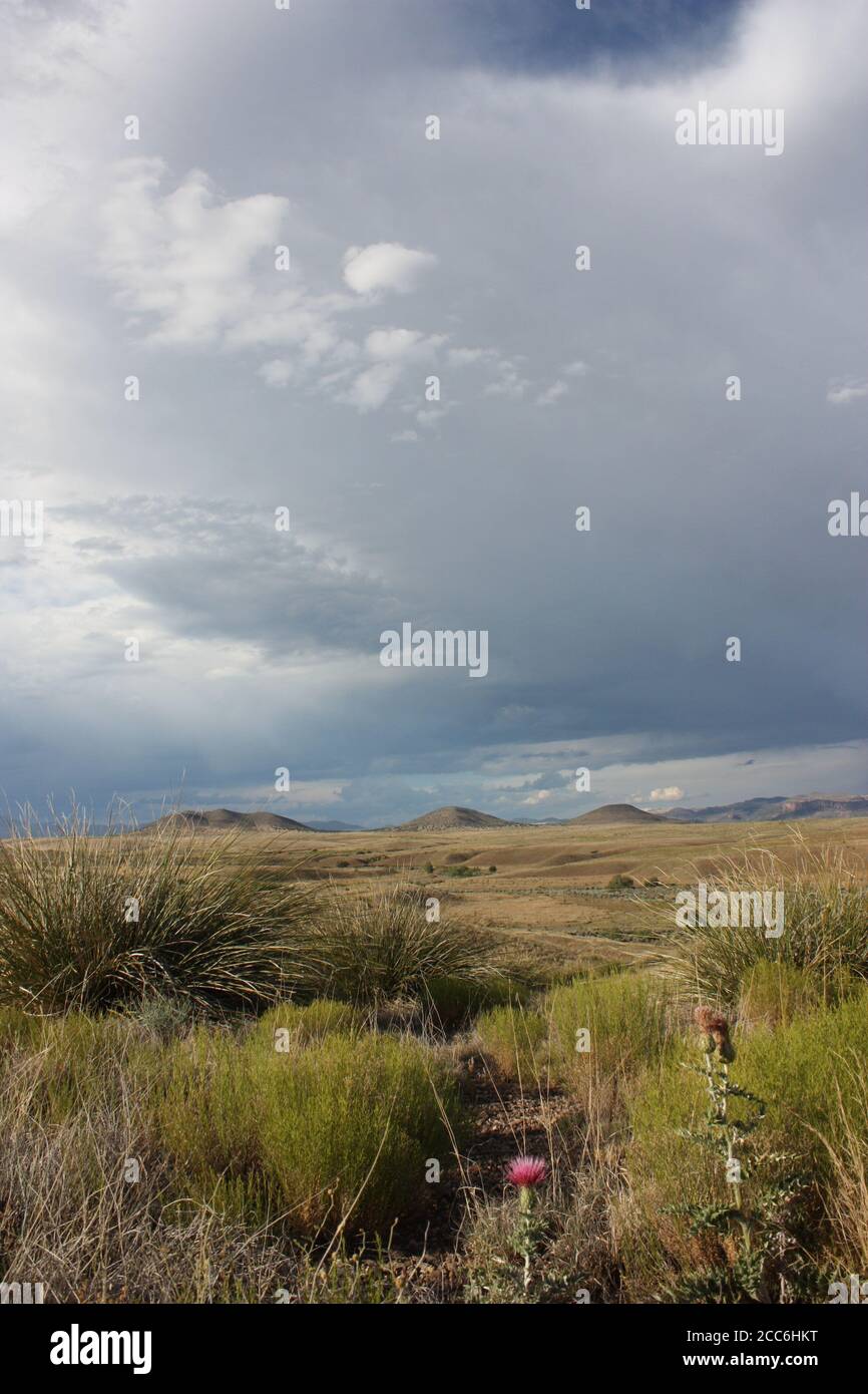 Paysage désertique et spectaculaire avec des prairies arides, des montagnes lointaines et des nuages de pluie sombres et orageux Banque D'Images