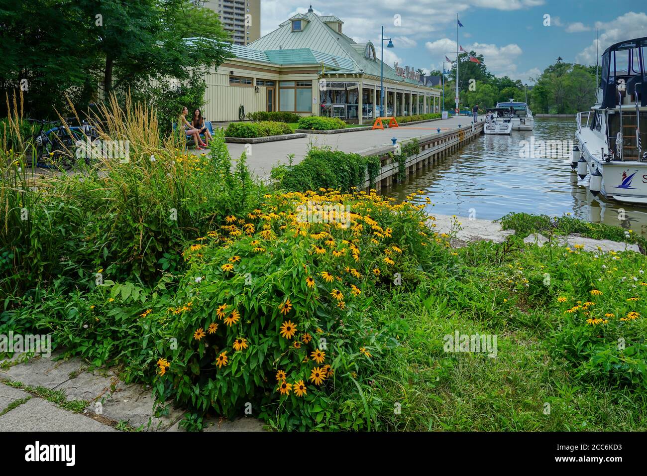 Port de plaisance de Smart Harbour, sur le lac Ontario, à Port Credit, Ontario, Canada, Mississauga Banque D'Images