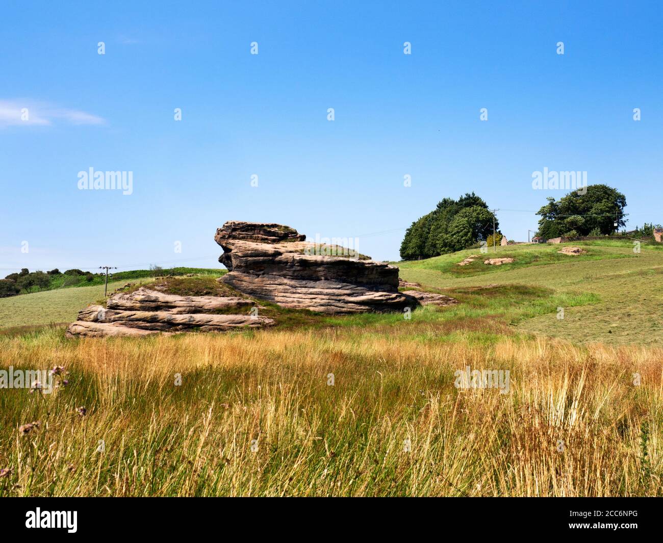 Formation de roches de Gritstone dans la vallée de Crimple près de Spofforth Harrogate North Yorkshire Angleterre Banque D'Images