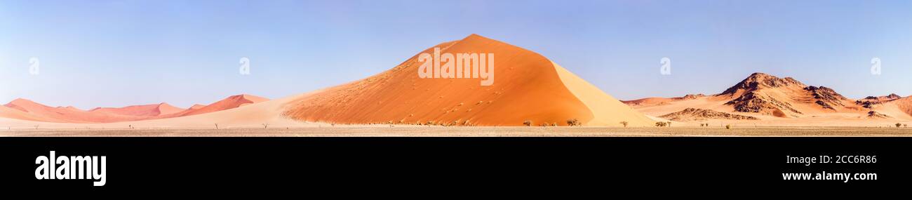 Dune de sable namibienne dans le désert du Namib Banque D'Images