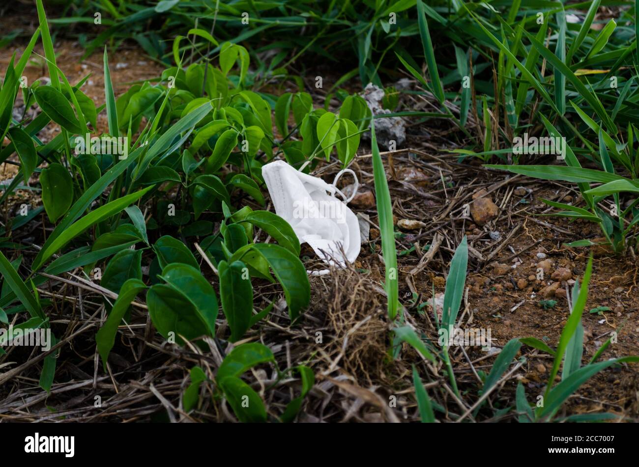 masque blanc jetable jeté comme poubelle au milieu des plantes vertes. Banque D'Images