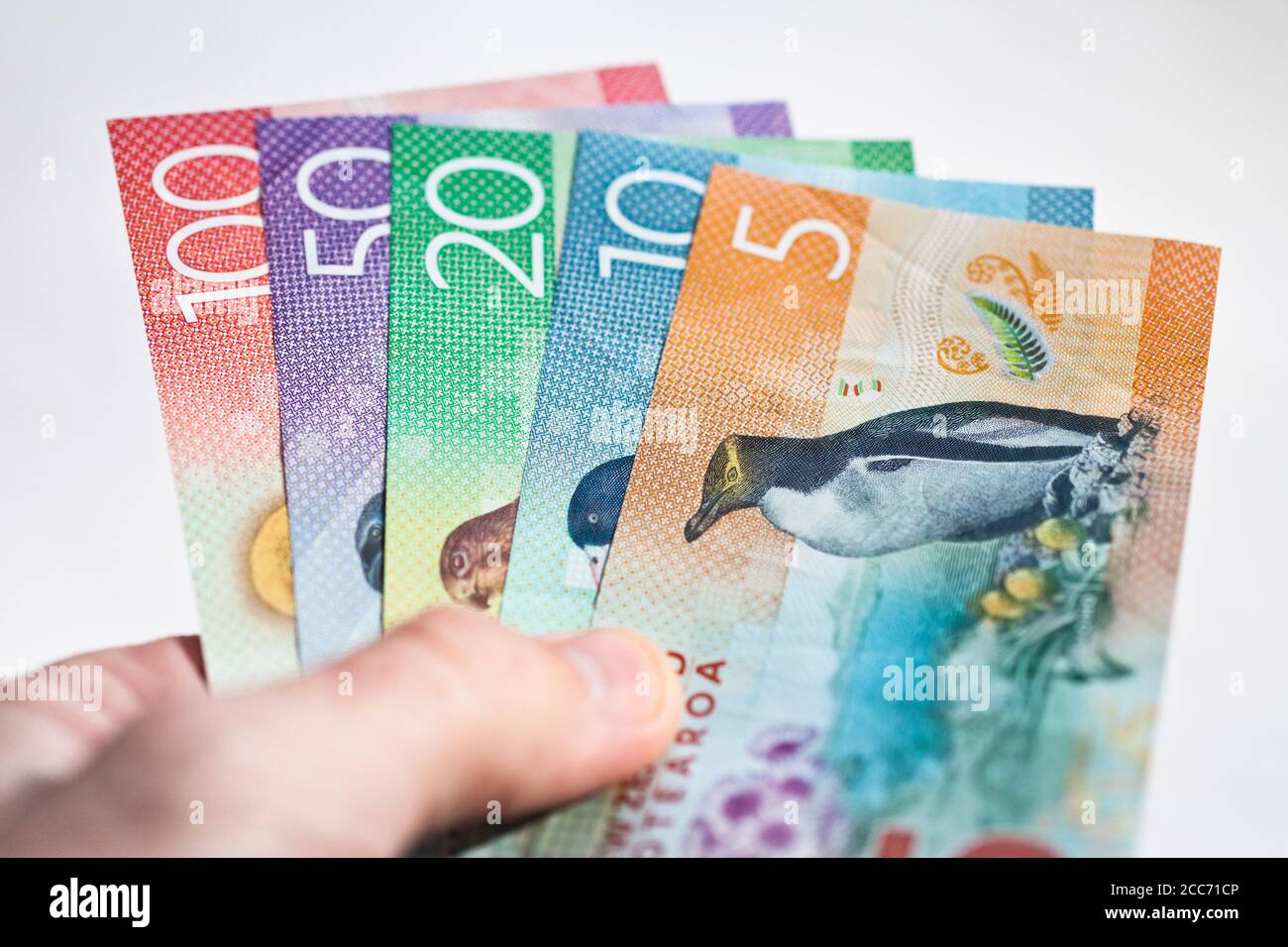 La monnaie néo-zélandaise a été maintenue dans une main Banque D'Images