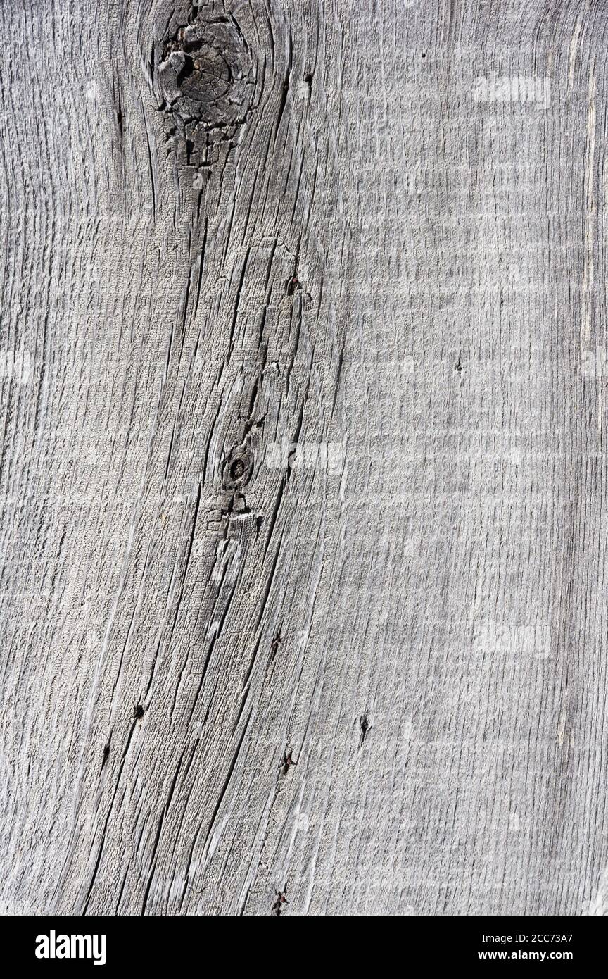 vieux gris météo bois de fond texture avec des noeuds Banque D'Images
