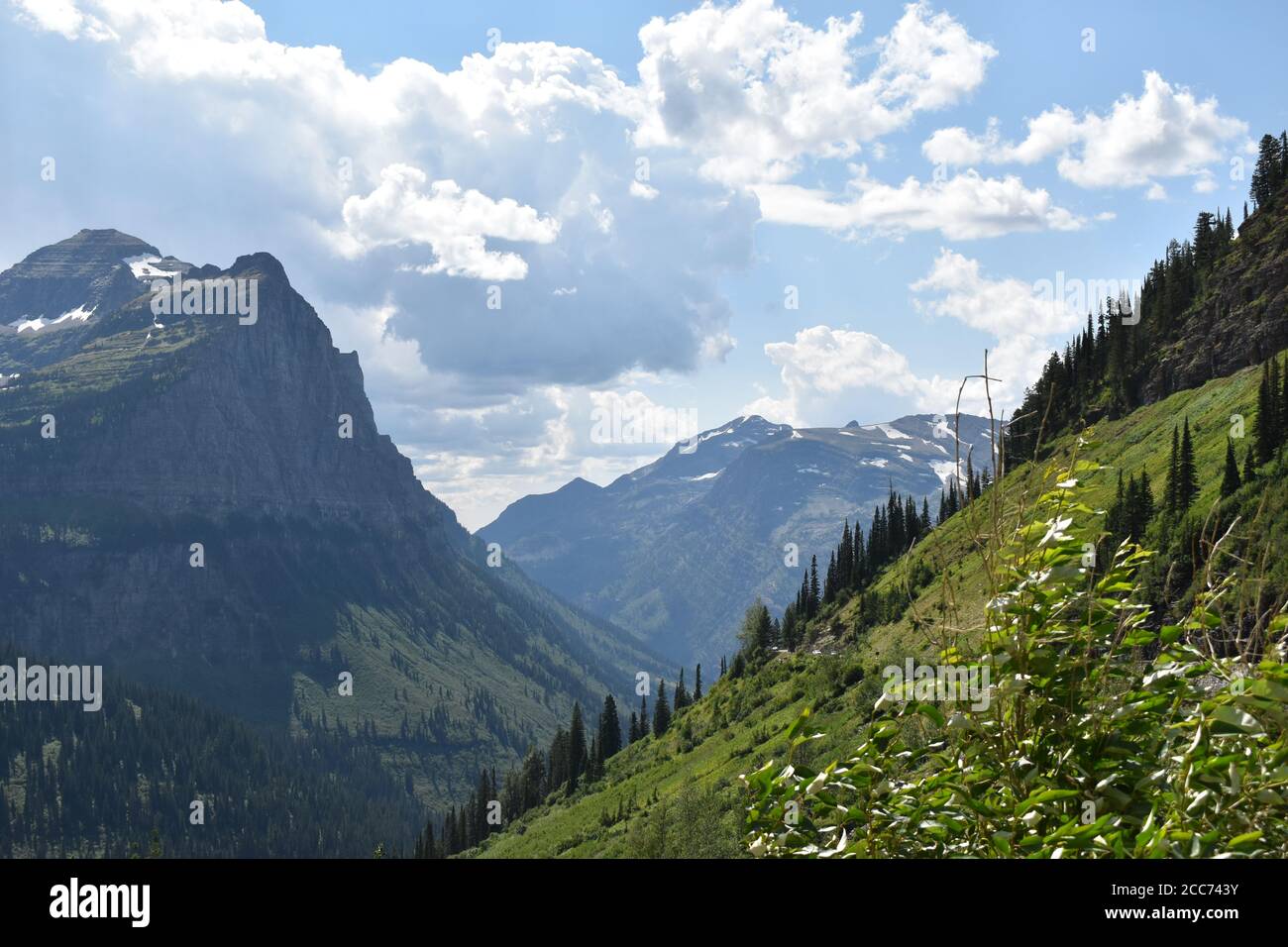 Parc national des Glaciers en août, en direction de Sun Road Banque D'Images
