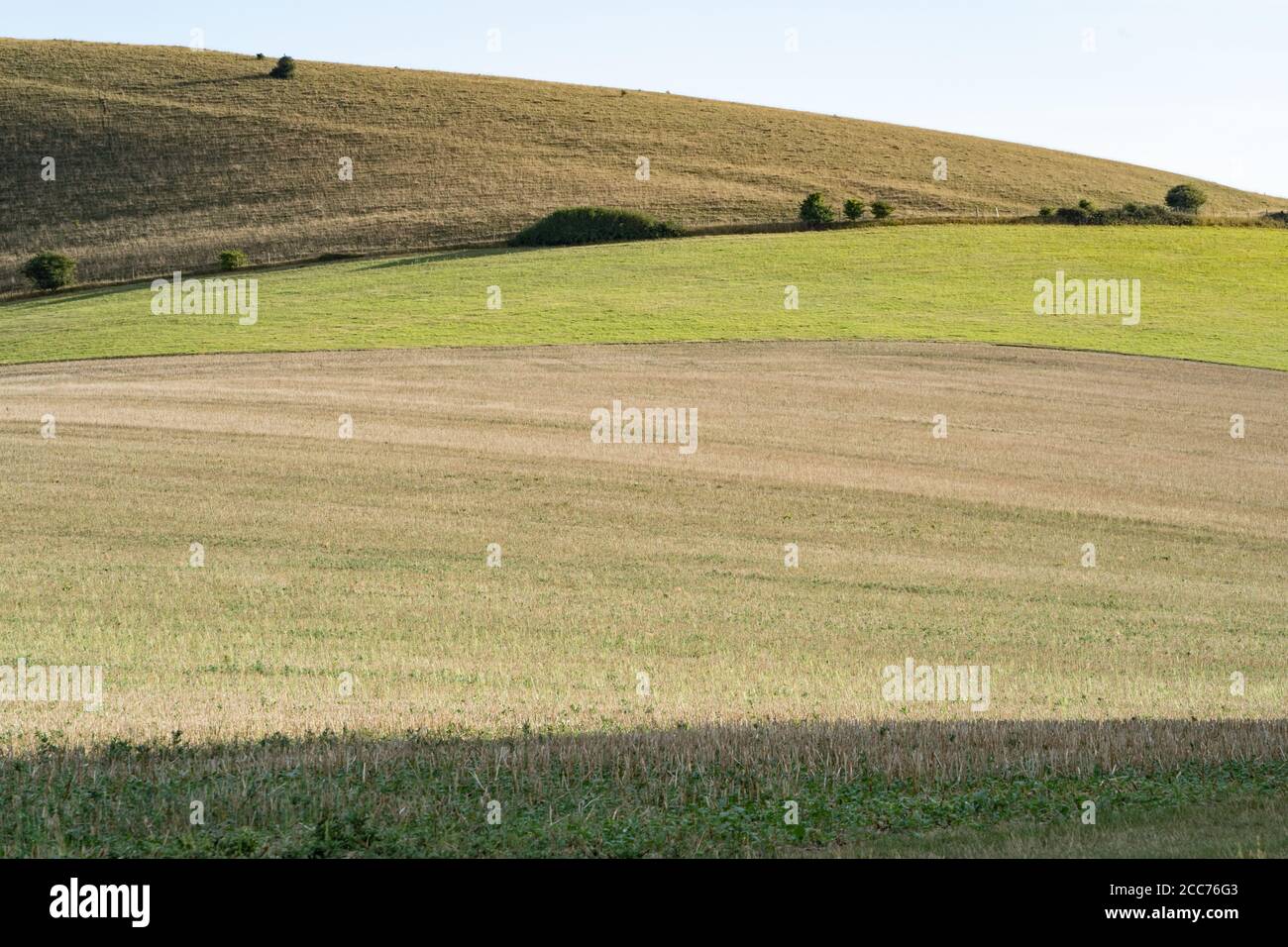 Champs de ferme arable près de Wilmington, East Sussex, Royaume-Uni Banque D'Images