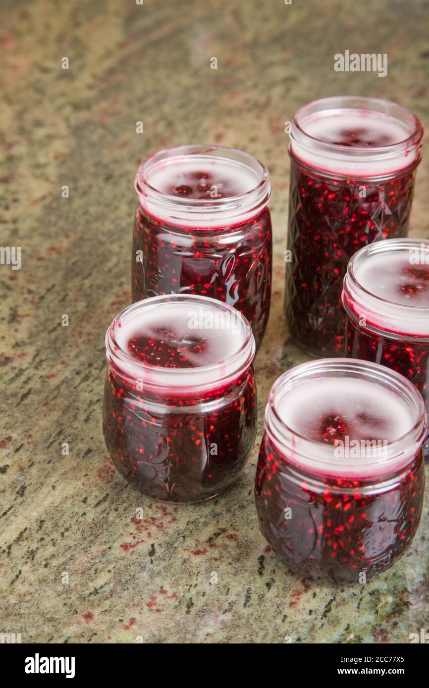 Les pots de confiture de mûres avec la cire domestique (paraffine) commencent à se solidifier sur un comptoir en granit Banque D'Images