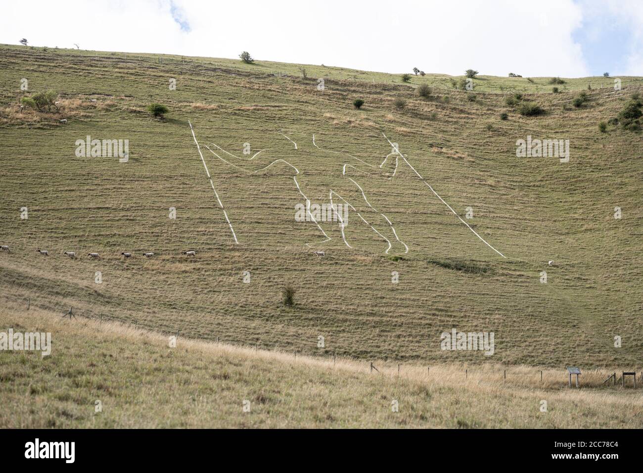 Long Man of Wilmington, Windrover Hill, Wilmington, East Sussex, Royaume-Uni Banque D'Images