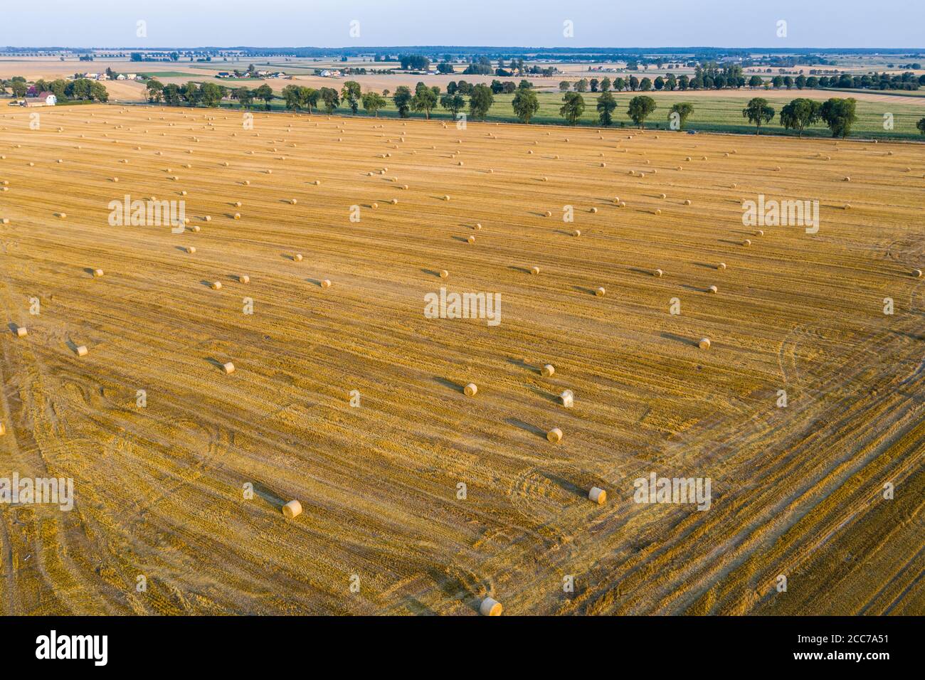 Vue aérienne des balles rondes de foin sur le chaume, temps de récolte Banque D'Images