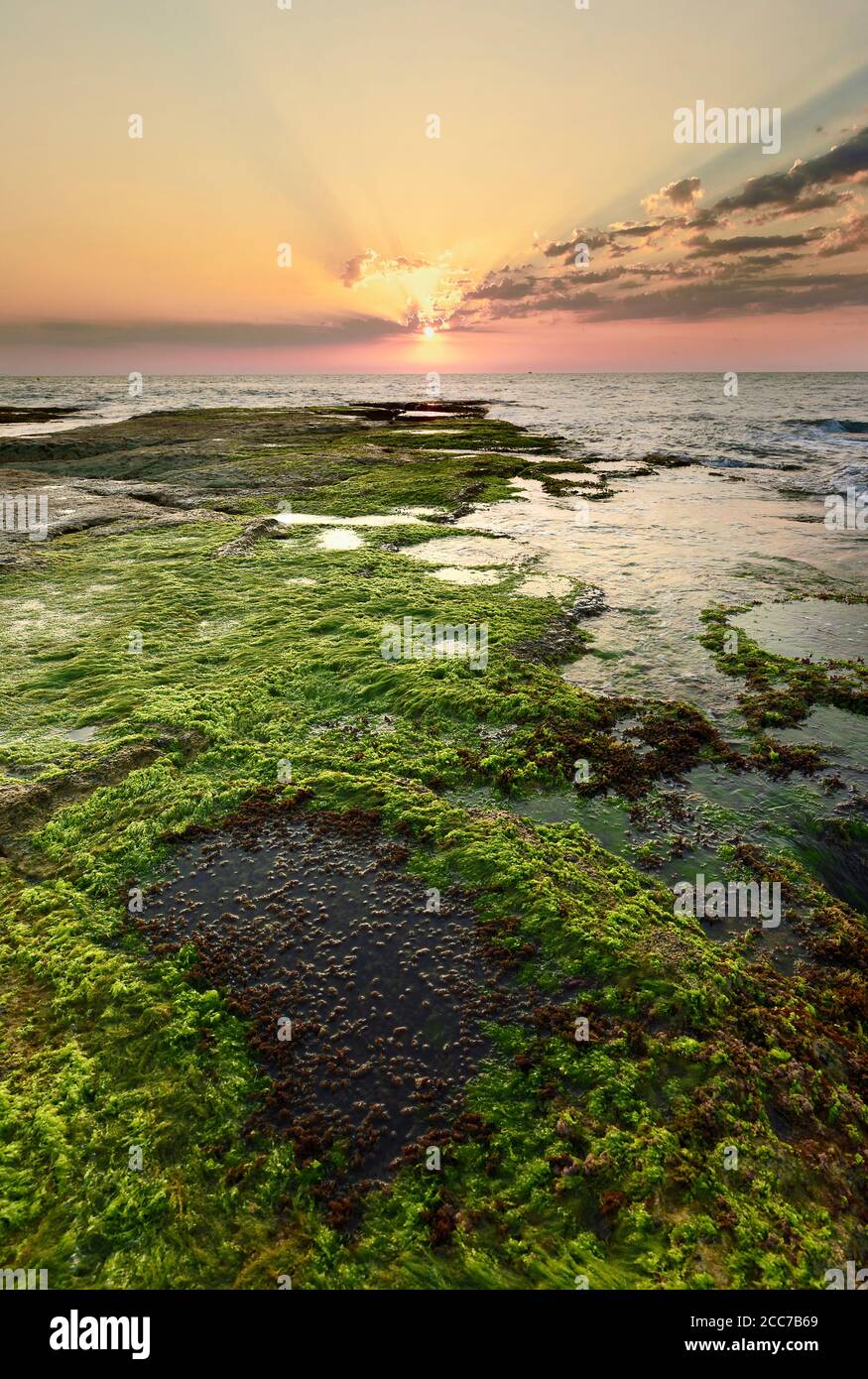 Lever du soleil à Cabo Cervera à Torrevieja, province d'Alicante en Espagne. Prise verticale avec espace pour le texte. Banque D'Images