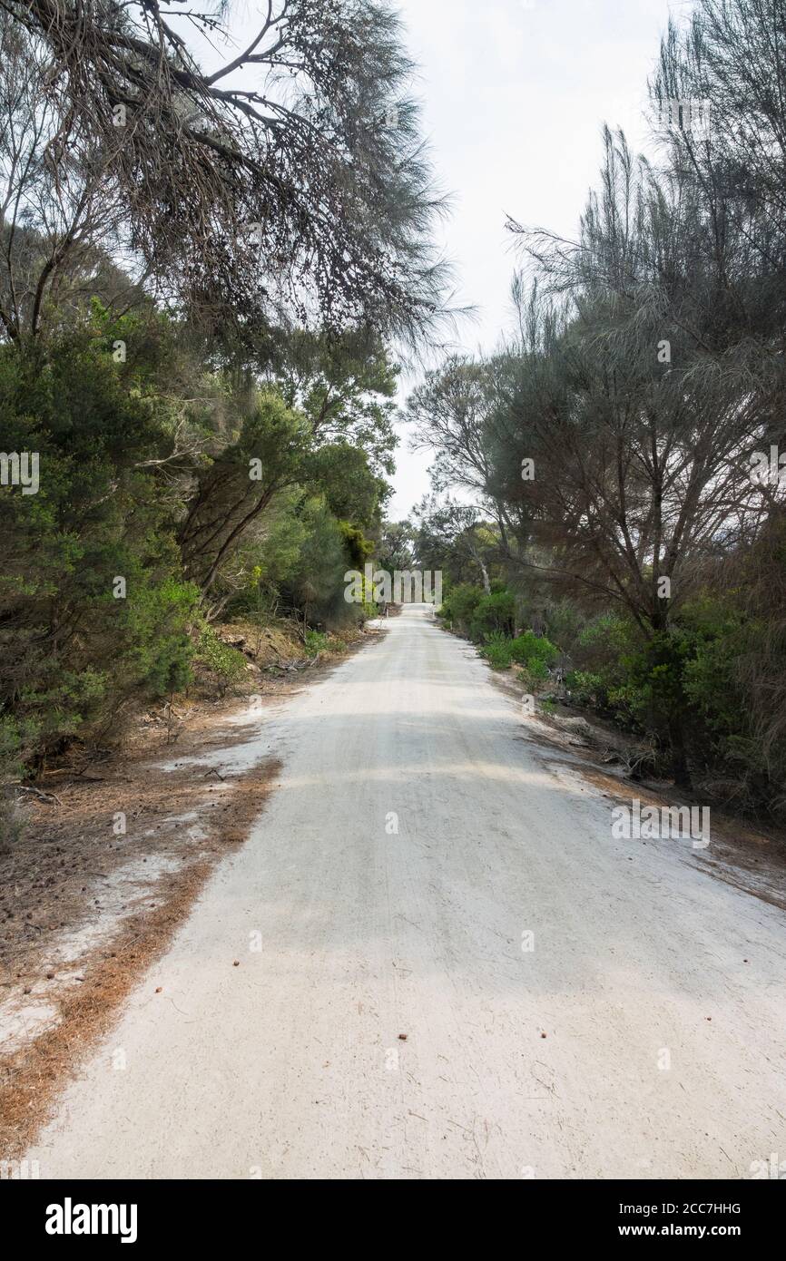 Piste d'accès déserte à Pantalon point, Flinders Island, Furneaux Group, Tasmanie Banque D'Images