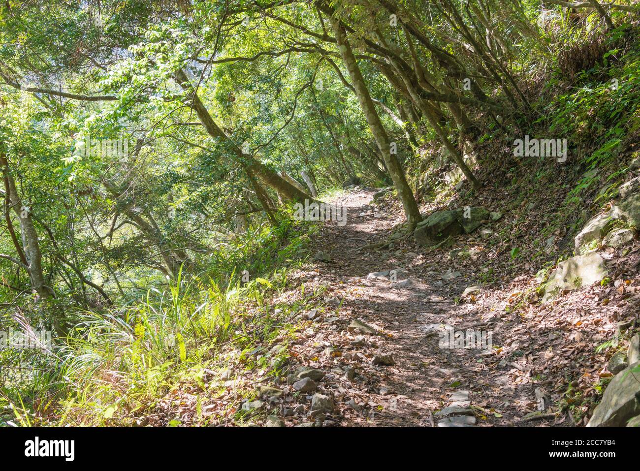 Hualien, Taïwan - Zhuilu Old Road dans le parc national de Taroko, Xiulin, Hualien, Taïwan. Banque D'Images