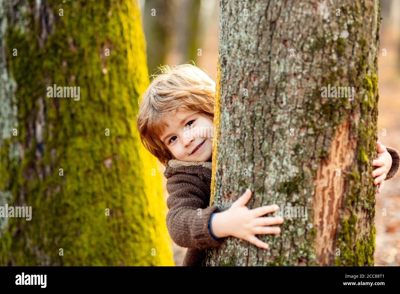 Mignon petit garçon d'enfant appréciant l'escalade sur l'arbre le jour de l'automne. Enfant mignon dans des vêtements automnaux apprendre à grimper, s'amuser en forêt ou se garer au chaud Banque D'Images